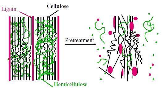 萊特萊德參與起草制定采用堿液浸漬法分離提取的半纖維素產品質量相關標準文件